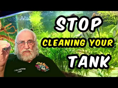 Video: Pravo čiščenje žganja za vaš akvarij za ribe