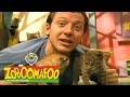 Zoboomafoo 120 - Animal Daycare (Full Episode)