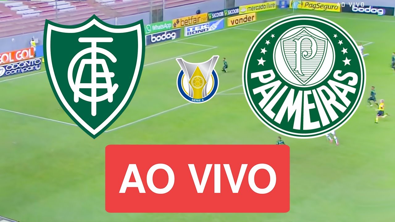 Palmeiras x América-MG: onde assistir ao vivo na TV e online, que
