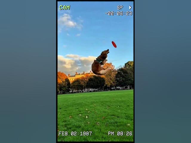 Best Fails of The Week: Funniest Fail Compilation | Funny Video – Part 4