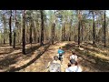 VR 360: светлохвойный лес &quot;Барнаульский ленточный бор&quot; (КТвБ: комп. техн. в биологии)