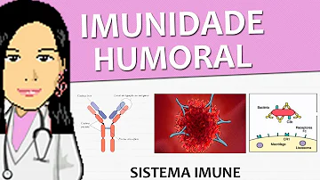 Por que é importante o contato com o antígeno nos primeiros anos de vida?