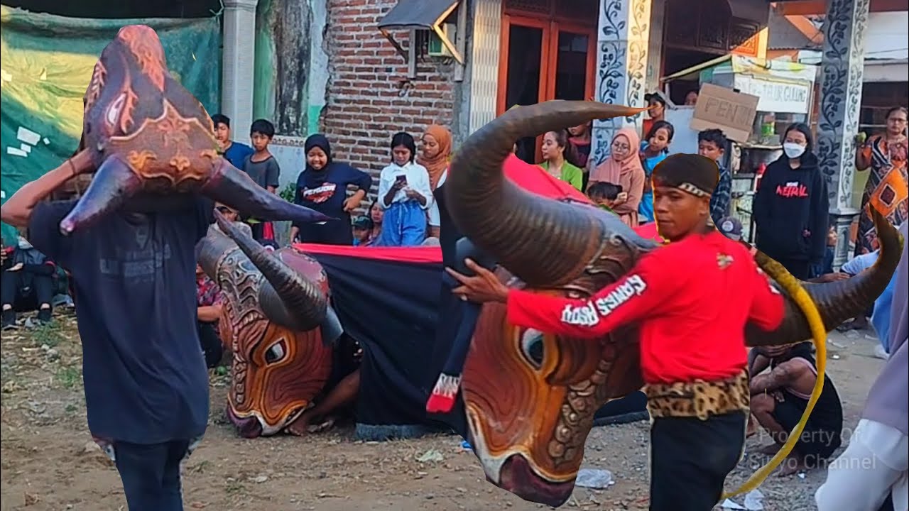 Bantengan Ngamuk Super Besar❗ Rojo Maheso Syuro // Mojokembang Mojowarno Jonbang