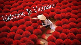 The Travel Diaries #41 - 03/02/23 (Welcome to Vietnam)