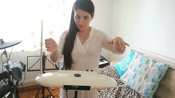 Theremini MOOG| Amazing Creation