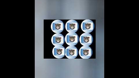 Rede Tomcat Logo History Book