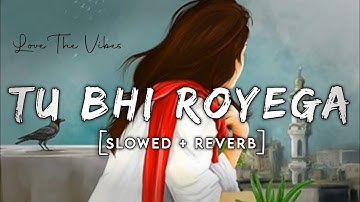 Jyotica Tangri Lofi Song - Tu Bhi Royega | Slowed And Reverb Lofi Mix | Lofi Song | Love The Vibes 🌼