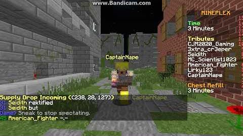 mineplex sg hacker