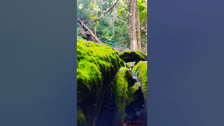 #shorts #naturelovers #naturevideography  nature videos part 7