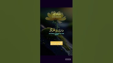 #تلاوة #المصحف #quran #اكسبلور #yasseraldossary #القرآن_الكريم #تيك_توك #الشيخ_ياسر_الدوسري