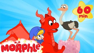 morphles dragon egg my magic pet morphle cartoons for kids morphle tv