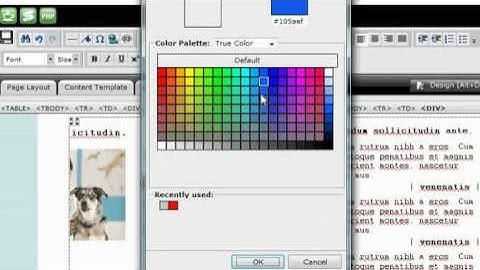 RvSiteBuilder 4 Creating Tables