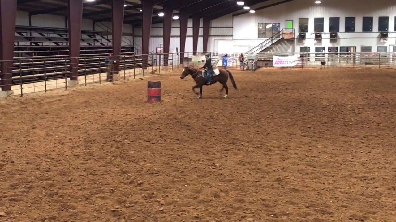 Cothans Pistol1D/2D Barrel Horse YouTube