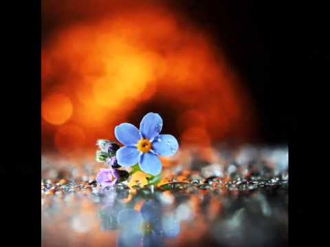 ერთი ცალისგან მანდილოსნებს