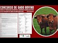 CONCURSO de GADO BOVINO-Feira do  Fumeiro-CARVALHO de REI-2020