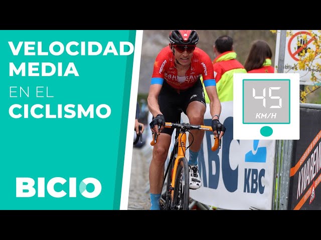 Mejores marcas y modelos de bicicletas de carretera. Ranking top 10.