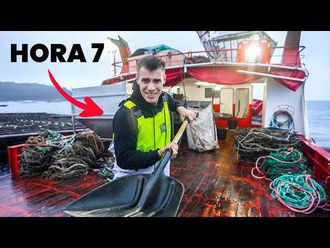 Video: ¿Se puede ser marinero sin experiencia?