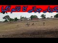 Its time to graze the goats  bakrian charane ka time agya  shahzeb munir vlog