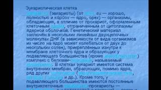 Наблюдение клеток растений и животных под микроскопом на готовых микропрепаратах, их описание. Наблюдение клеток растений и животных под микроскопом на готовых микропрепаратах, их описание.