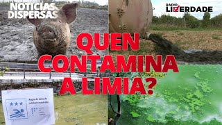 Quen contamina a Limia?