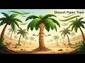 Palm Trees Secrets to Survive the Desert