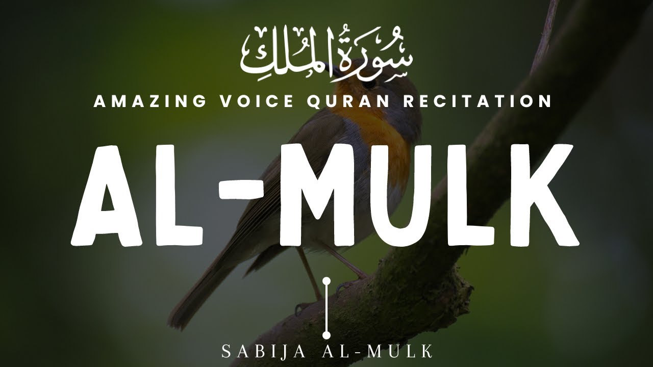 Calming Voice Recitation of Surah Al Mulk |  سورة الملك | Protect You In The Grave