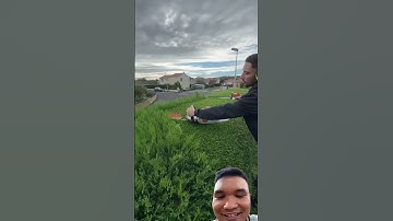 Máy cắt tỉa cây cảnh của Mỹ #satisfying