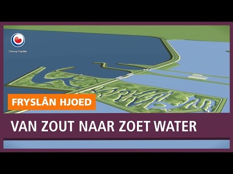 Video: Waarom bijt mijn hond zijn poten?