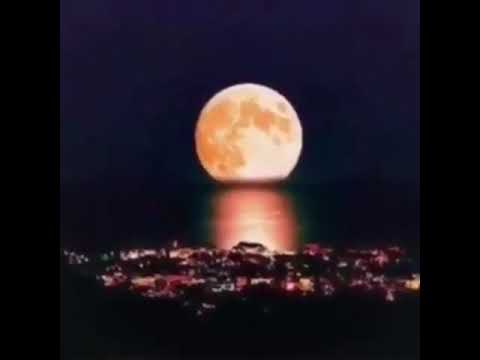 الفنان فهد عبدالمحسن