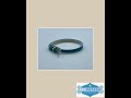 Majestic Dog Collar (Turquoise)