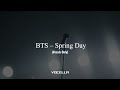 BTS Spring Day Acapella Vocals Only 