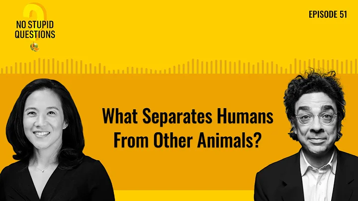 What Separates Humans From Other Animals? | No Stupid Questions | Episode 51