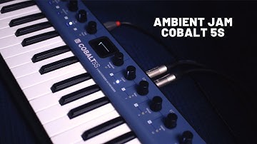 Ambient Jam Session with Modal Cobalt 5S | Live Synth Improvisation & Atmospheric Sounds