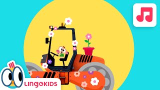 WHEELS ON THE BUS with VEHICLES 🚌🏍️🚜| Songs For Kids | Lingokids