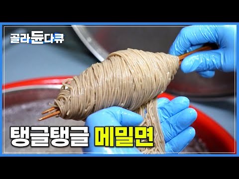 직접 뽑은 생면으로 만듭니다. 오픈 전부터 문전성시! 추위에도 줄 서서 먹는 메밀국수 맛집│한라산 닮은 고소한 들기름 비빔면과 새콤달콤 비빔냉면│제주도 서귀포│고향민국│#골라듄다큐