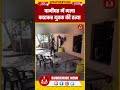 पानीपत में गला काटकर युवक की हत्या | NJP Haryana #panipat #police #news #haryana
