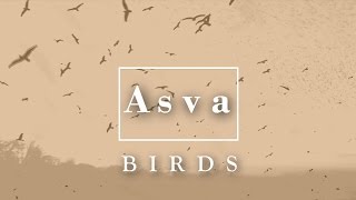 ASVA - Birds  (OFFICIAL)