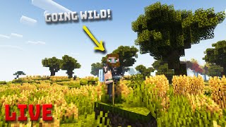 Animal Style! | ZAWA Together