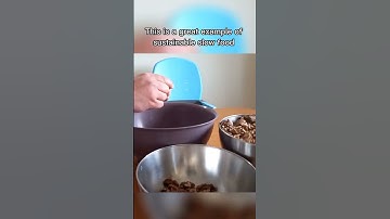 Cracking and cleaning wild foraged walnuts by hand #walnuts #permaculture #slowfood