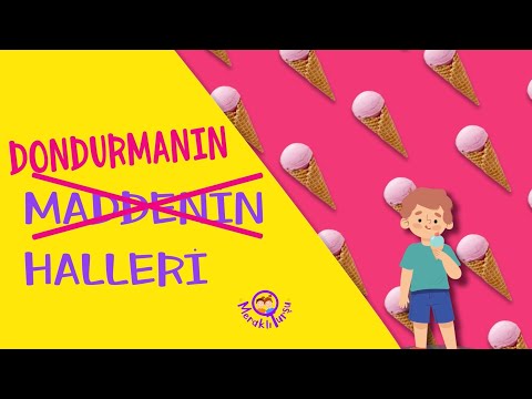 Maddenin Halleri | Meraklı Turşu - STEM Serisi