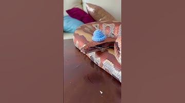 Thumbnail of 2 Second Song