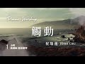 一小時 觸動 Touch 親近神靈修鋼琴音樂 祝瑞蓮 Josie Chu One Hour Worship Piano 一小時 觸動 Touch 親近神靈修鋼琴音樂 祝瑞蓮 Josie Chu One Hour Worship Piano