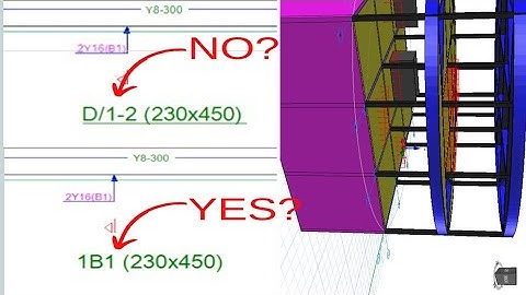 How to edit beam label in ProtaDetails.