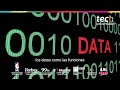 Tipos abstractos de datos y su función en desarrollo software | TECH Universidad