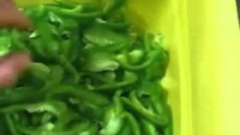 Máy cắt rau củ quả Model ECA 202 ớt chuông cắt lát