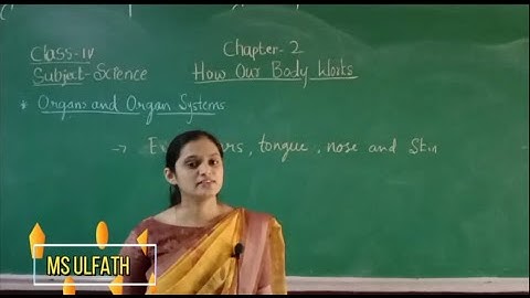 CLASS 4 | SCIENCE | CHAPTER 2 | HOW OUR BODY WORKS