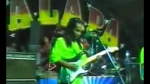 palapa～brodin~gitar tua