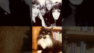 Master Gable Presents Shocking Blue's "Daemon Lover" =^.,.^=❤️#cat #life #love #music #shockingblue