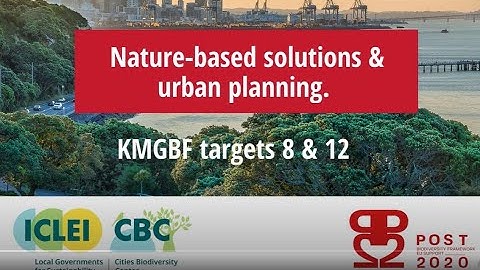 ICLEI calling for nature-based solutions