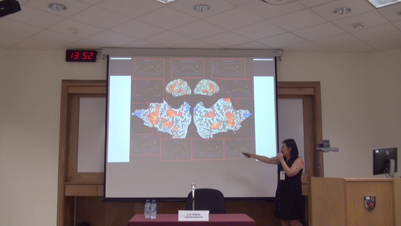 Individual Differences in Object VS Spatial Visualization - YouTube